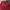 Oioi Casual Hoody Pria red photo 2