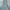 Jaket Parasut Lightweight Basic Kila Turquoise Second photo 3