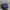 Topi Guess big logo photo 2