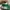 Puma Speedcat OG photo 7
