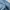 Dickies Vintage Casual Casual pants Pria navy photo 6
