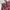 Dickies Vintage Casual Casual pants Pria burgundy photo 5