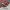 Converse Chuck Taylor All Star 70S Plaid Red Black