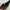Adorable Projects Emo Futurist Shoulder bag Wanita black photo 4