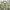 Japanese brand Vintage Casual Harrington jacket Pria green photo 1