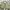 Japanese Brand Vintage Casual Harrington Jacket Pria Green