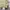 Japanese brand Vintage Casual Harrington jacket Pria green photo 3