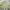 Japanese brand Vintage Casual Harrington jacket Pria green photo 4