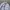 New Balance Windbreaker Nylon Blend Jacket photo 2