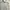 Carhartt Streetwear Hoody Pria Gray