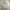 Carhartt Streetwear Hoody Pria gray photo 1