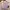 Monki Lavender Dress 