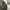 Avirex Biker Casual Bomber jacket Pria multicolor photo 4
