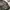 Avirex Biker Casual Bomber jacket Pria multicolor photo 5