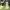 Nike Air Jordan Sneakers Pria white green photo 2