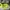 Nike Air Jordan Sneakers Pria white green photo 1