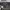 White House Black Market Flare Leg Big Size (38) photo 5