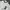 Giordano Casual Polo shirt Pria white photo 1