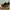 Christian Louboutin Luxury Minimalist Heels Wanita black photo 3