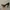 Christian Louboutin Luxury Minimalist Heels Wanita black photo 1