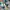 Nike Air Jordan Low photo 3
