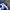 Adidas Sportswear Jersey Pria blue photo 5