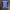 Adidas Sportswear Jersey Pria blue photo 1