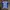 Adidas Sportswear Jersey Pria Blue
