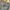 Cargo pants Lecaf dark gray photo 6