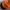 Emo Casual Hat Pria black orange photo 6