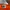 Emo Casual Hat Pria black orange photo 7
