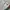 Winter jacket tebal anak bunga emerald lucu allo lugh photo 7