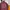 Champion Hoodie Maroon