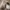 Crocs Kids Size j2 dan j3 photo 3