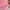 Colorbox Pink Croptop