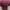 PL Atasan wanita - blouse wanita warna purple - good 1pcs photo 2
