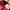 Emo Casual Hat Pria red photo 8