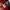 Emo Casual Hat Pria red photo 7