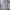 Vintage Harrington jacket Pria gray photo 3