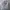 Vintage Harrington jacket Pria gray photo 1