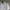 Fred Perry Casual Polo shirt Pria white black photo 3
