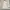 Forever 21 Luxury Fairy Going Out Dress Wanita White Cream