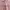 Hoodie Tommy Hilfiger Light Pink photo 2