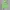 AMBUSH Streetwear Hoody Pria green photo 2