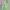 AMBUSH Streetwear Hoody Pria green photo 1