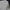 Crocodile Streetwear Casual Polo shirt Pria white photo 2