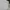 Columbia Luxury Casual Polo shirt Pria white photo 2