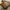 Sling bag vintage M240 army US infanteri  photo 5