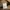 Johnbull Casual Casual pants Pria tan photo 4