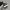 Adidas Samba photo 6